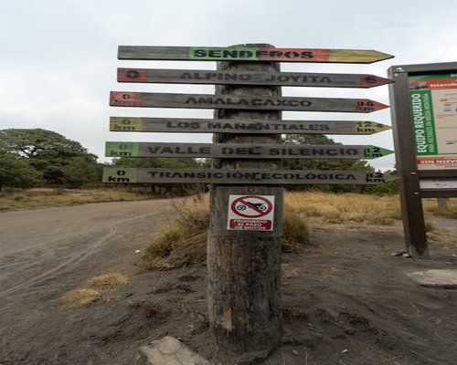Mujer subiendo escaleras con bolsas ecológicas del mercado
